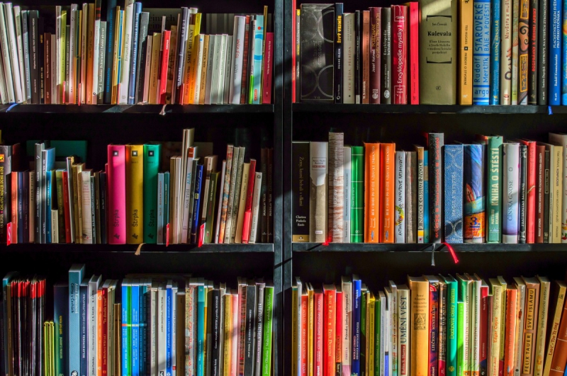 boutique-CALLAS-min_books_bookstore_book_reading_shop_writer_sale_books_read-822866